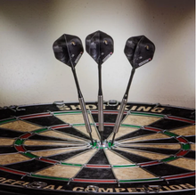 Load image into Gallery viewer, Elkadart Wizard 80% Tungsten Steel Tip Darts 20 Grams