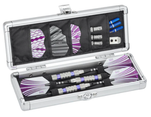 Load image into Gallery viewer, Casemaster Accolade Aluminum Dart Case
