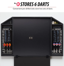 Load image into Gallery viewer, Viper Resolute Dart Backboard