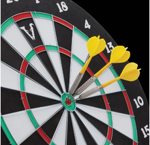 Load image into Gallery viewer, Viper Double Play Coiled Paper Fiber Dartboard with Darts
