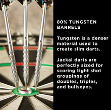 Load image into Gallery viewer, Viper Jackal Darts 80% Tungsten Steel Tip Darts In Wallet 23 Grams